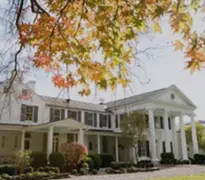 Trichy Ads in Thillainagar